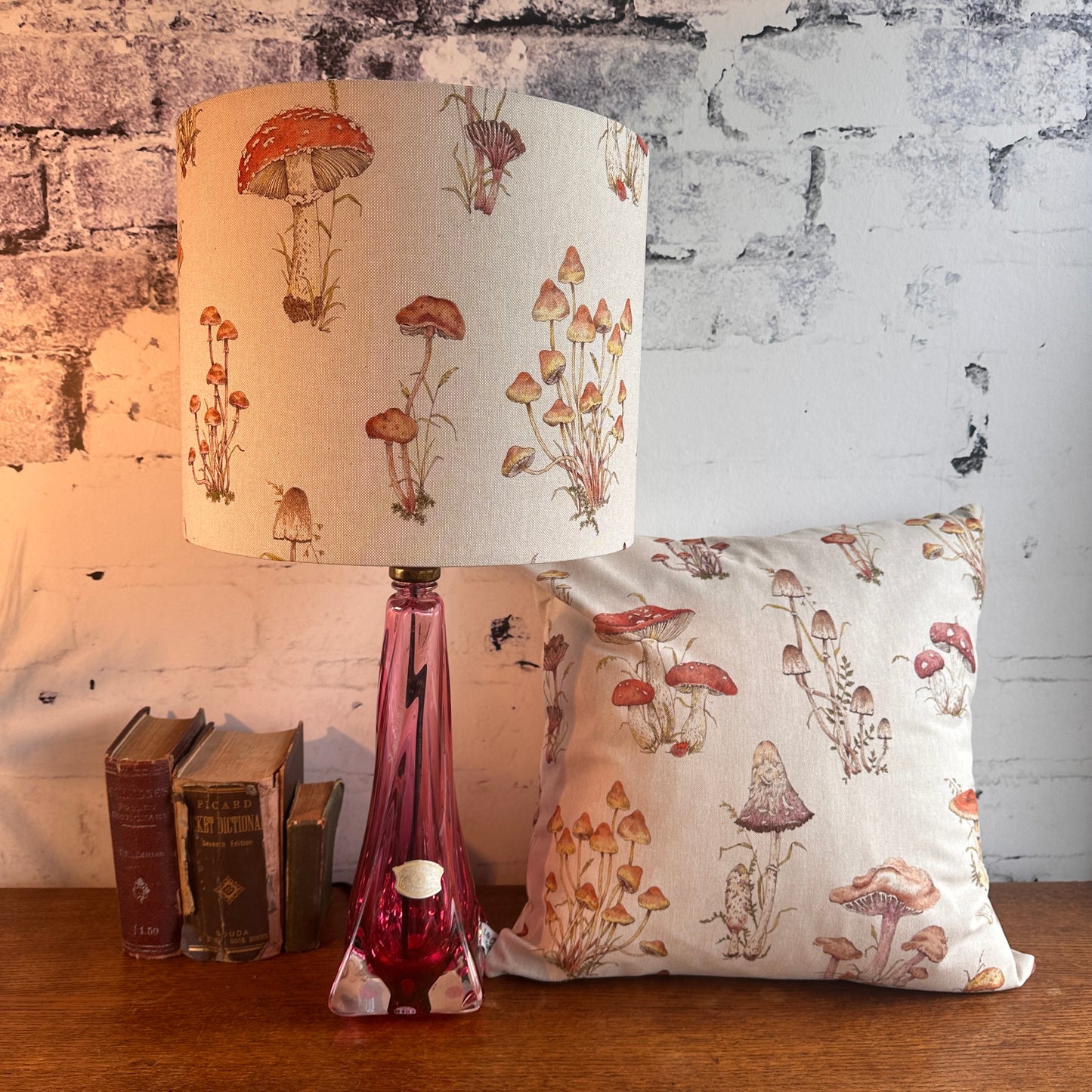 LAMPENKAP PADDENSTOELEN